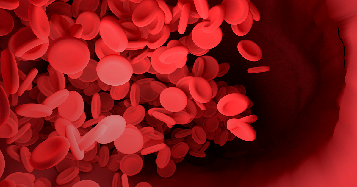 Эритроциты в кровеносных сосудах. Клетки крови в виде сердца.